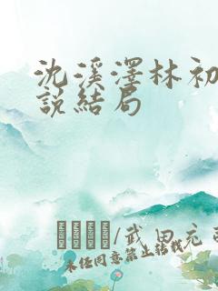 沈溪泽林初棠小说结局 沈溪泽林初棠小说结局