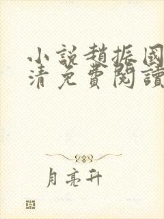 小说赵振国宋婉清免费阅读