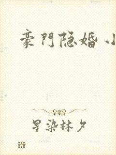豪门隐婚 小说