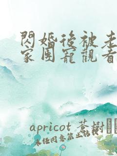 闪婚后被老公全家团宠观看高清