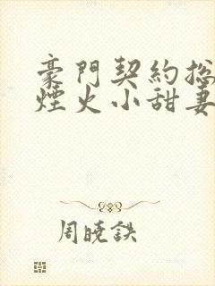 豪门契约总裁的烟火小甜妻小说