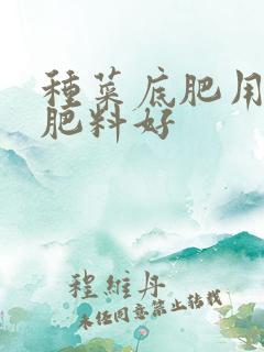 种菜底肥用什么肥料好