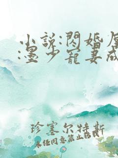 小说:闪婚厚爱:墨少宠妻成瘾