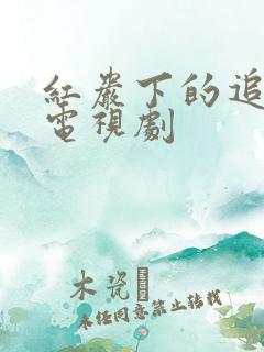 红岩下的追捕 电视剧