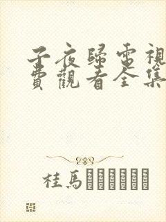子夜归电视剧免费观看全集高清33