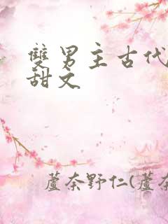 双男主古代生子甜文