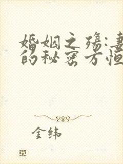 婚姻之殇:妻子的秘密方恒小说