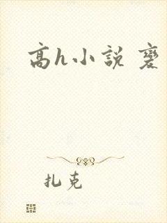 高h小说 变态