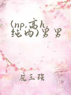 (np,高h,纯肉)男男