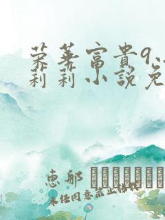荣华富贵9小王莉莉小说免费阅读