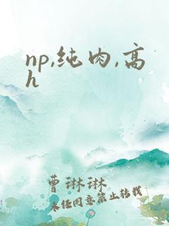 np,纯肉,高h