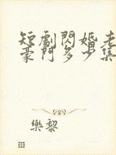 短剧闪婚老公是豪门多少集