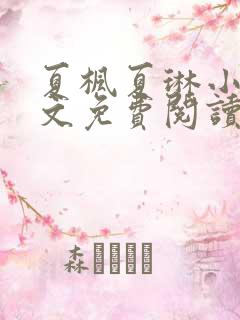 夏枫夏琳小说全文免费阅读