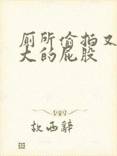 厕所偷拍又白又大的屁股