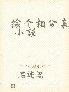 捡个相公来种田 小说