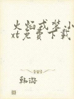 火焰戎装小说txt免费下载