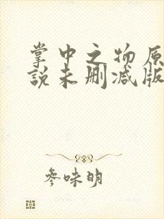 掌中之物原著小说未删减版