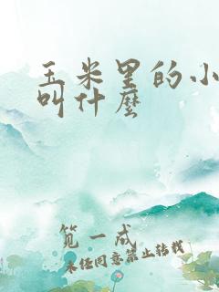 玉米里的小黑虫叫什么