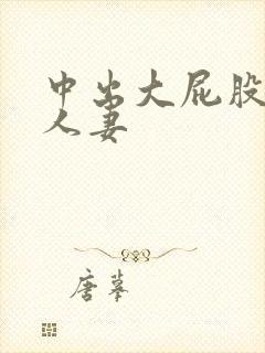 中出大屁股少妇人妻