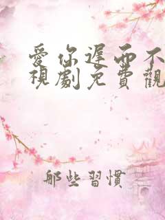 爱你迟而不晚电视剧免费观看