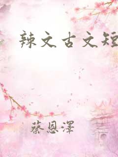 辣文古文短篇