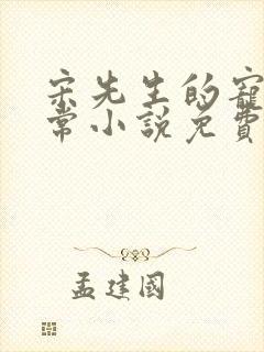 宋先生的宠妻日常小说免费阅读