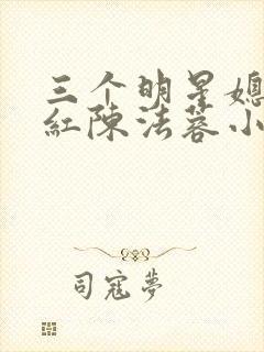 三个明星媳妇陈红陈法蓉小说