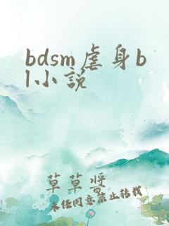 bdsm虐身bl小说
