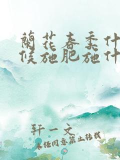 兰花春季什么时候施肥施什么肥好