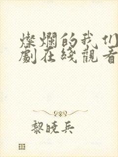 灿烂的我们电视剧在线观看免费高清