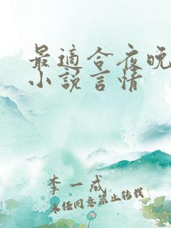最适合夜晚看的小说言情