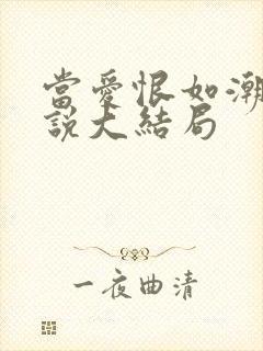 当爱恨如潮生小说大结局