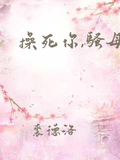 操死你,骚母狗