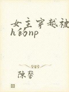 女主穿越被各种h的np