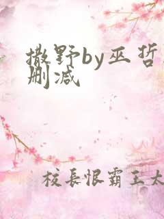 撒野by巫哲无删减