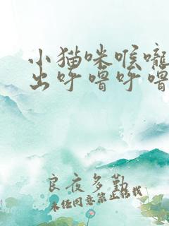 小猫咪喉咙里发出呼噜呼噜的声音是什么?