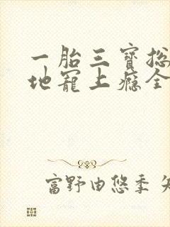 一胎三宝总裁爹地宠上瘾全文