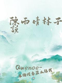 陈雨晴林子峰小说