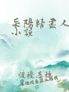采阳精尽人亡的小说