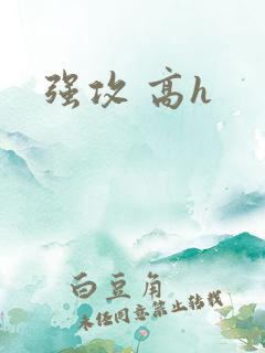 强攻 高h