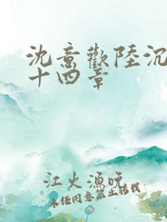 沈意欢陆沉舟第十四章
