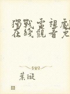 独战电视剧全集在线观看免费高清