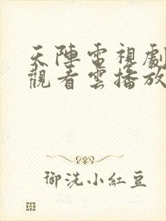 天阵电视剧免费观看云播放