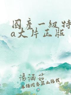 国产一级特黄aa大片正版