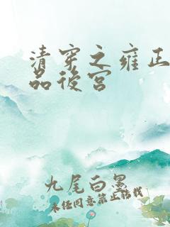 清穿之雍正的级品后宫