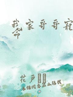 我家哥哥宠妹如命