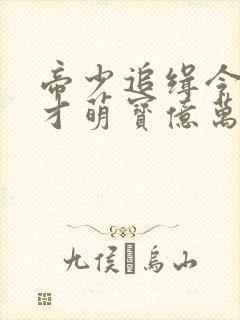 帝少追缉令,天才萌宝亿万妻