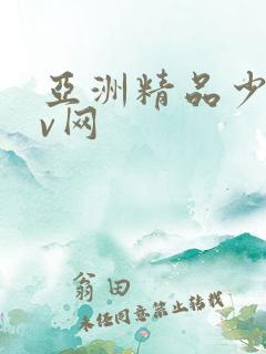 亚洲精品少妇av网