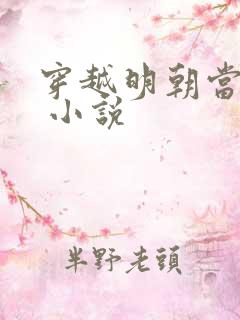 穿越明朝当暴君 小说