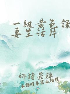 一级黄色录像夫妻生活片